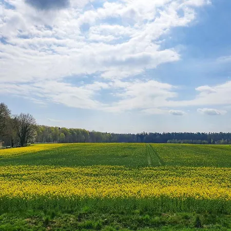 Am Alten Haus Altenmedingen Экстерьер фото