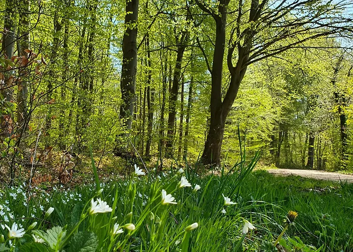 Am Alten Haus