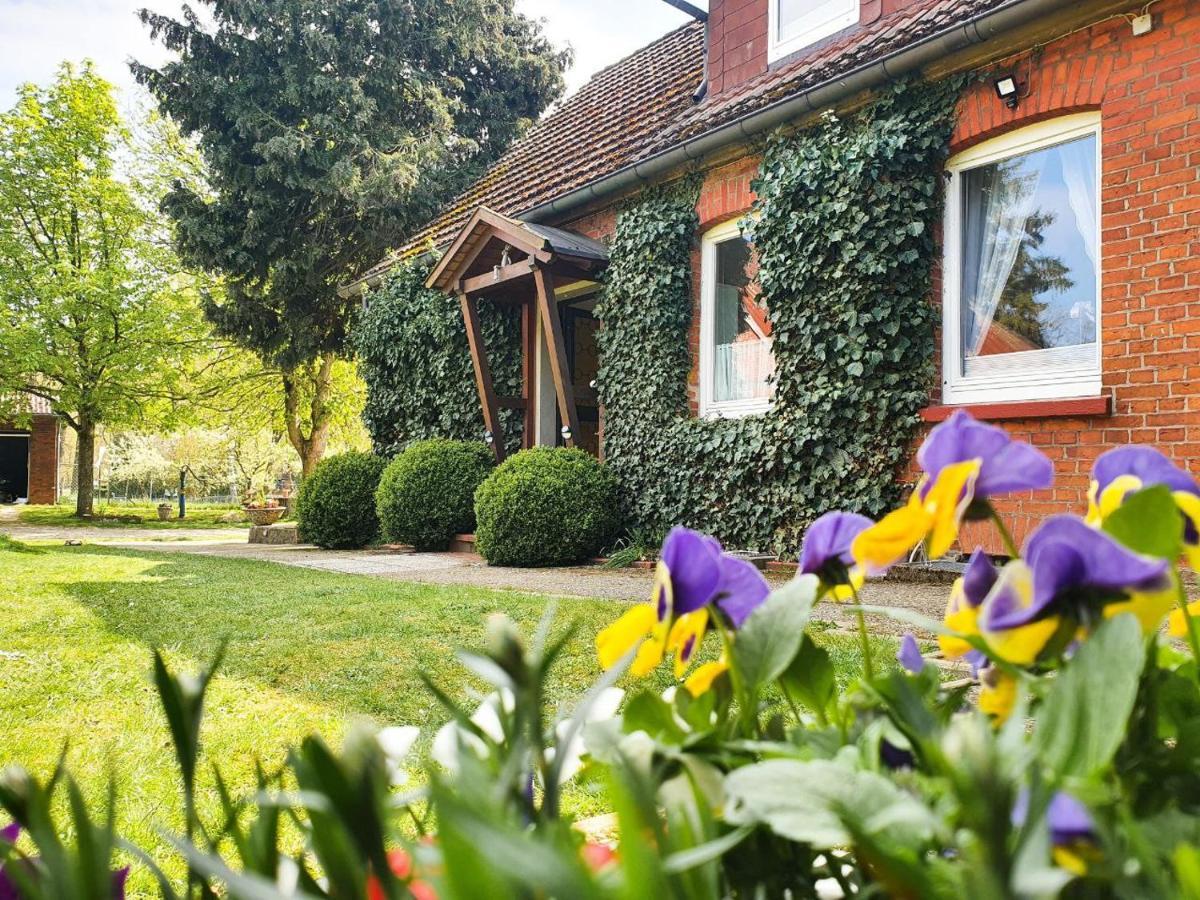 Apartment Am Alten Haus