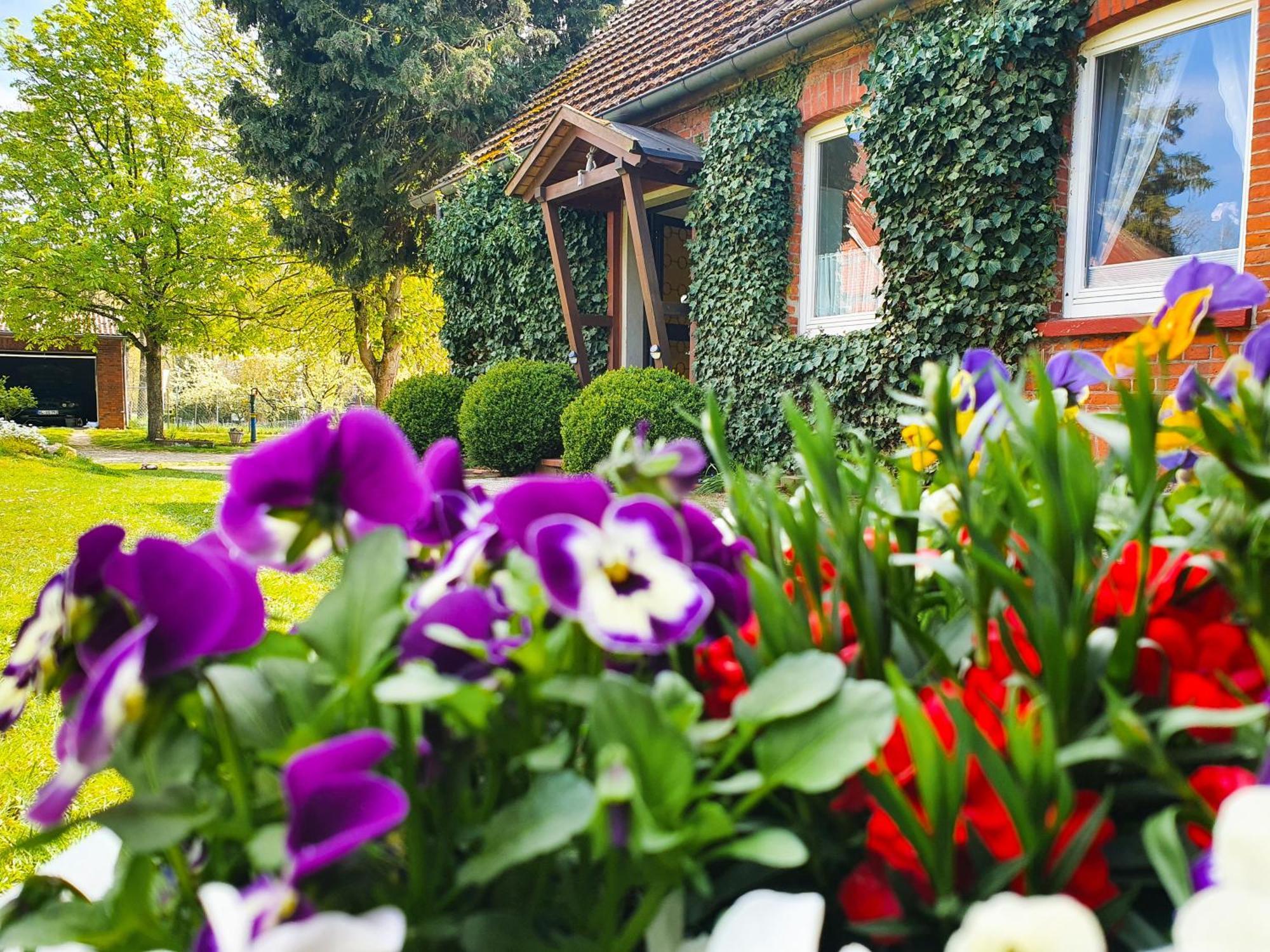 Appartement Am Alten Haus Altenmedingen